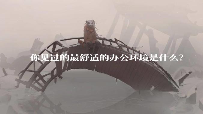 你见过的最舒适的办公环境是什么？